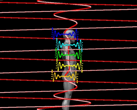 ���̉���